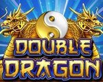 Machine à sous Double Dragon Yggdrasil